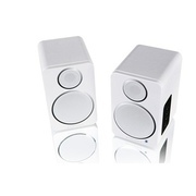Wharfedale DS-2