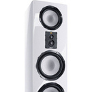 Magnat Signature 909