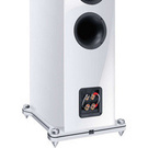 Magnat Signature 909